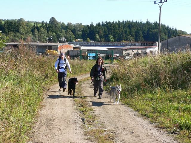 P1050575.jpg