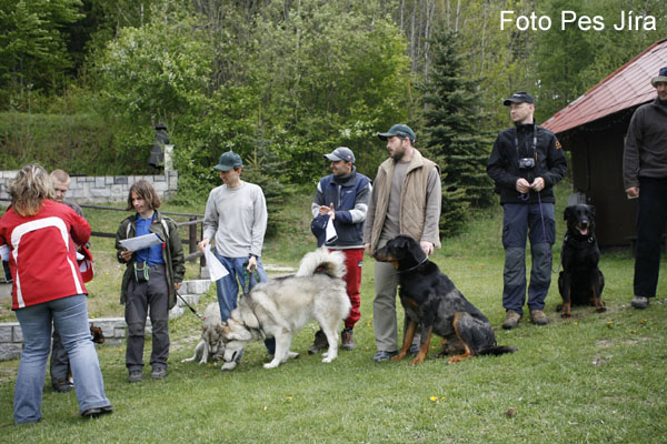 _MG_0407[1].jpg